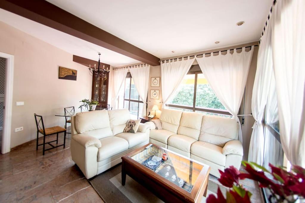 Penthouse!!! Center Of Seville!!! 2 Bedroom + 2 Bath!!! Exterior foto